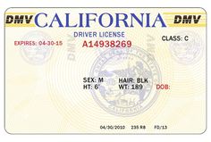 blank driver license template photoshop